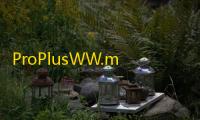 ProPlusWW.msi